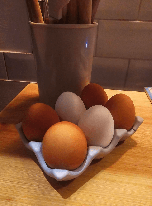 Egg holder
